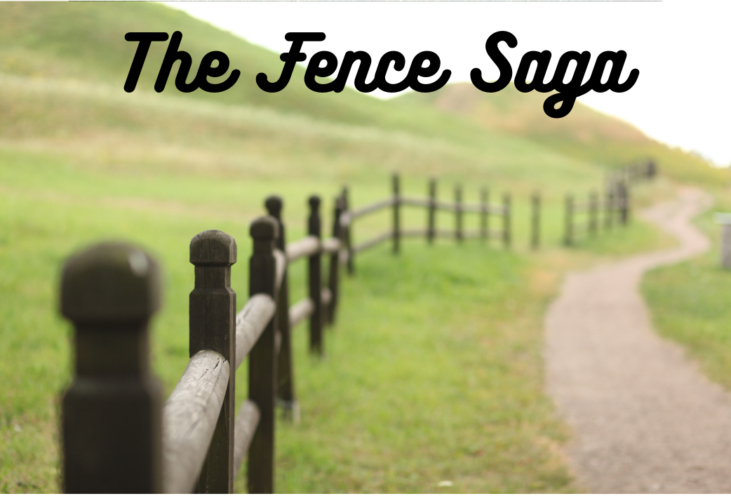 The Fence Saga….Suggestions for Making the Best Decision When You Can’t Have Everything You Want