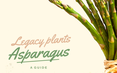 What do I need to know to grow asparagus?