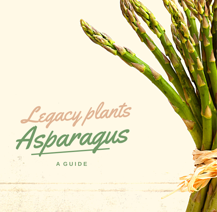 What do I need to know to grow asparagus?