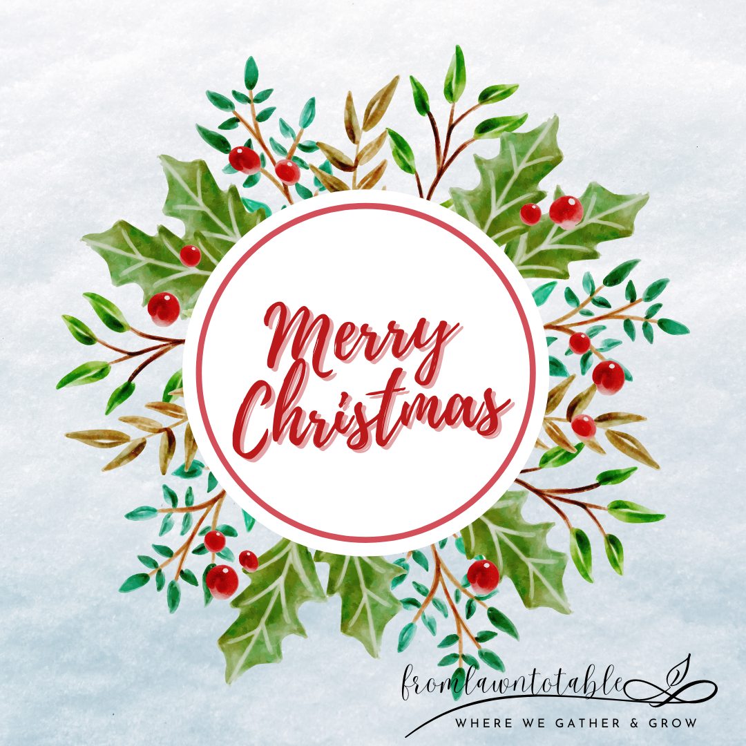 How to Grow and Care For Holly