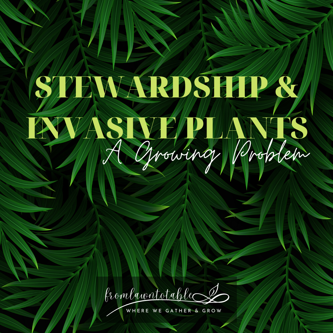 Stewardship and Invasive Plants: A Growing Problem